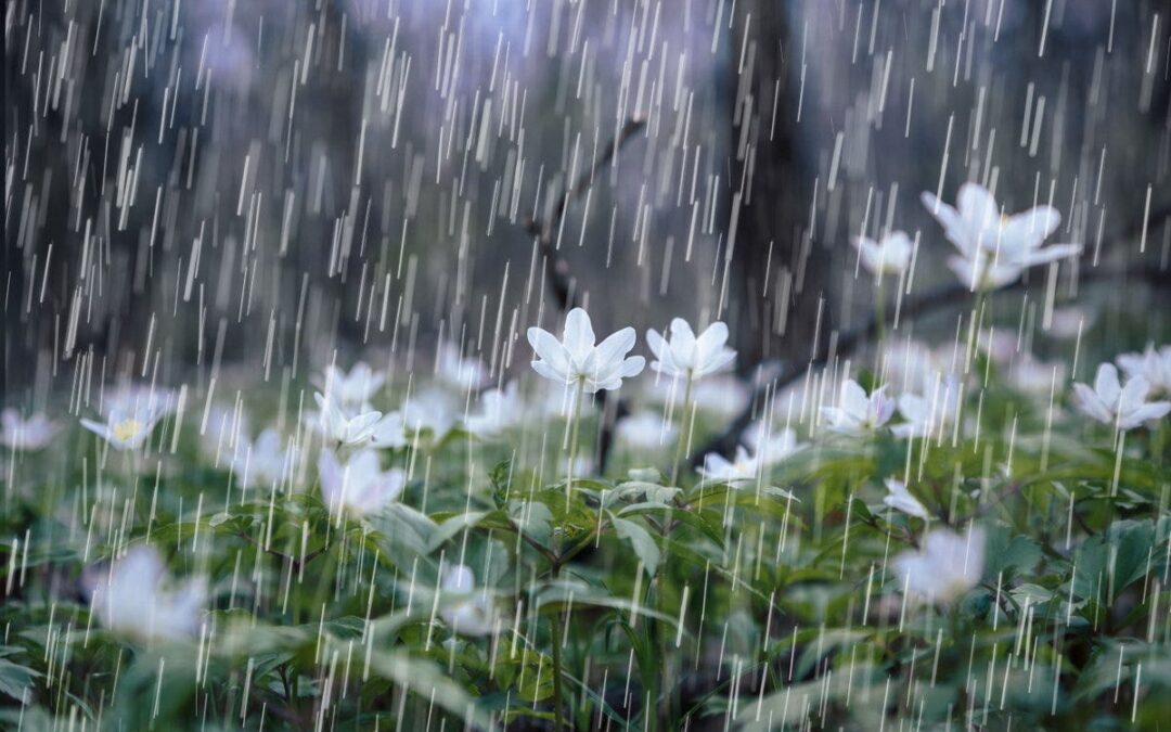 Inameh pronostica cielo nublado con lluvias de intensidad variable en el país, para este martes