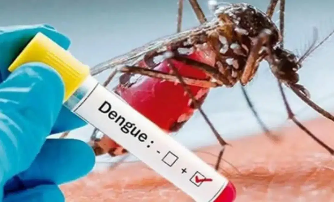 Los casos de dengue en Caracas aumentaron