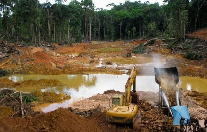 Economías ilegales y grupos criminales destruyen la Amazonía en 2023, alerta informe