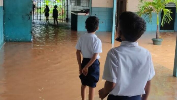 Solo la mitad de los niños en Venezuela asisten a la escuela, según ONG