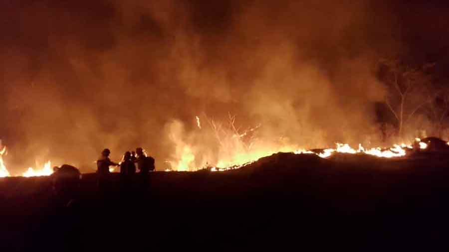 Al menos 61 mil hectáreas se han visto afectadas por los incendios