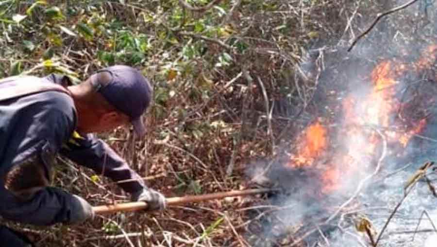 Viceministro Pérez Ampueda: Hemos detenido 16 personas por incendios forestales