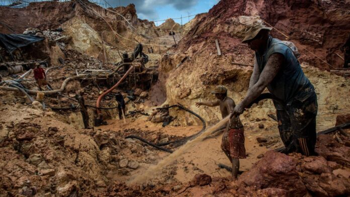 ONG venezolana exige erradicar la minería ilegal para proteger el medioambiente