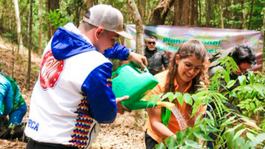 Siembran 100 árboles de nogal en el Zoológico de Caricuao