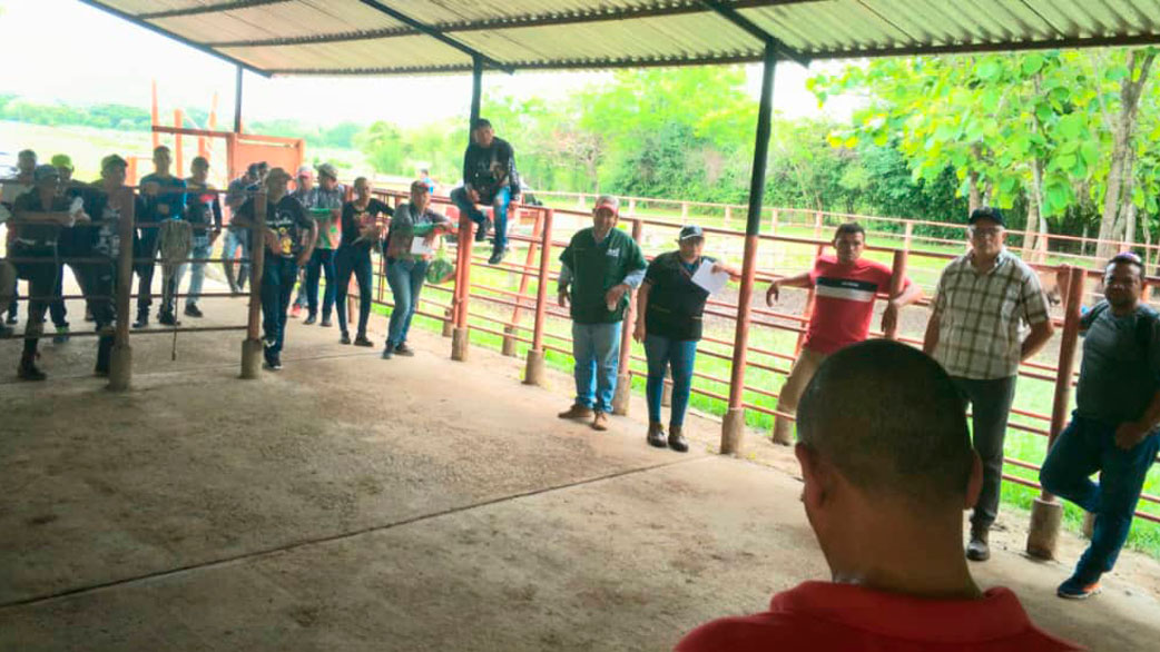 Certifican técnicos para ayudar en el combate de la fiebre aftosa en Barinas