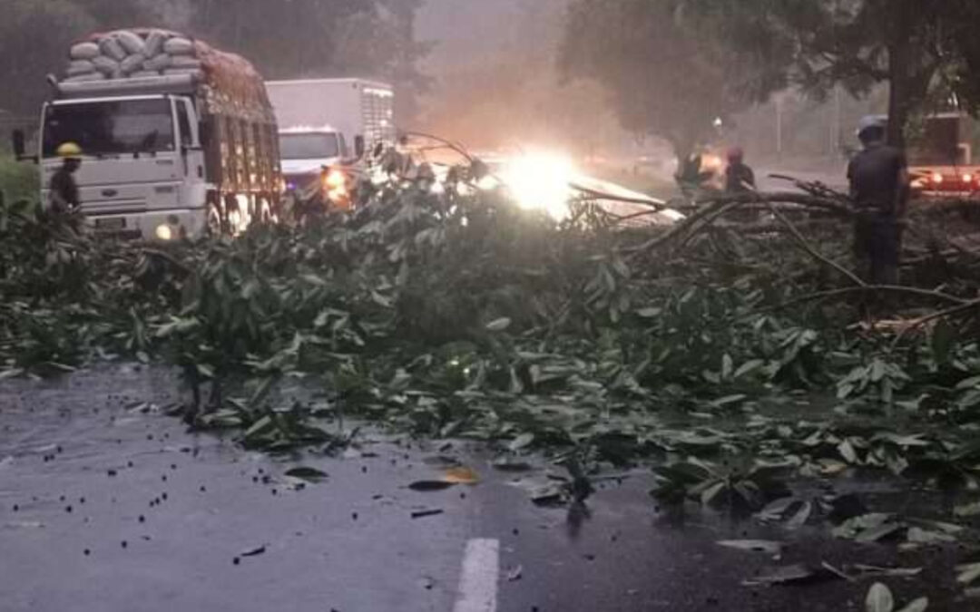 Lluvias en Trujillo ocasionaron falla de borde en la vía y caída de árboles