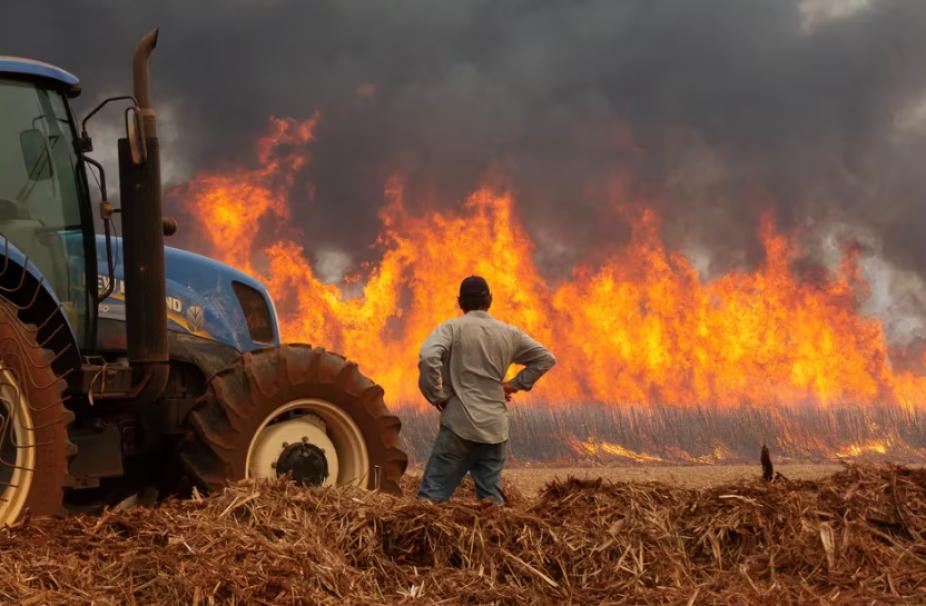 Al menos dos detenidos por la ola de incendios forestales en Brasil: 21 municipios de San Pablo enfrentan focos activos