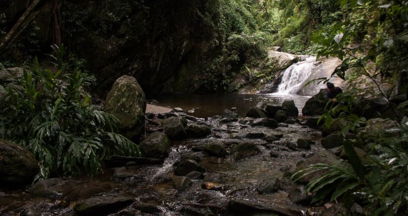 Hallan carbonizado a un hombre en quebrada de Caracas