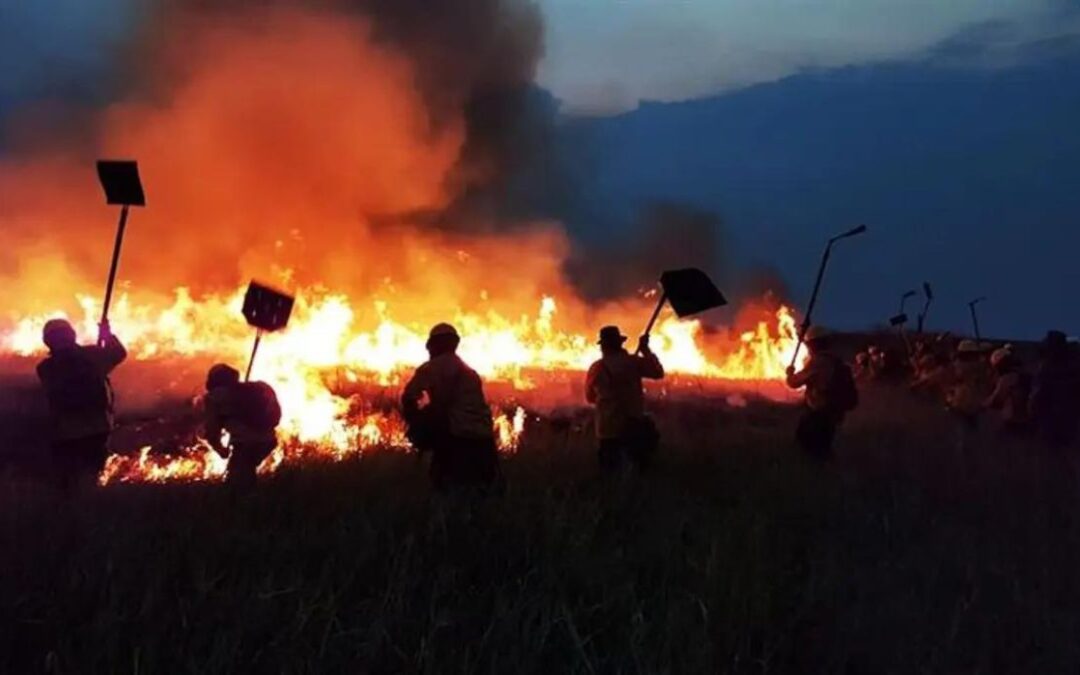 Bolivia y Brasil coordinan plan para sofocar incendios forestales en la Amazonia