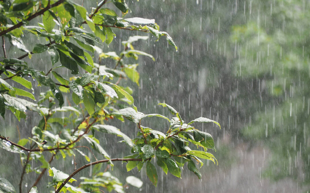 Inameh prevé nubosidad y lluvias de intensidad variable por paso de la onda tropical 36