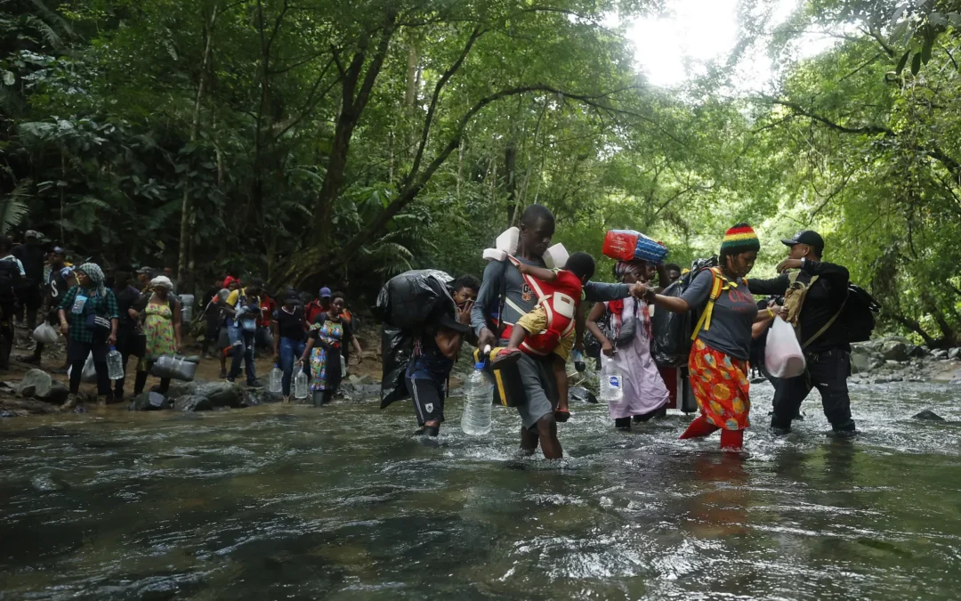 Más de 185.000 migrantes han cruzado la selva del Darién hasta mitad de 2024