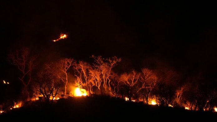 Brasil atraviesa su peor sequía con incendios forestales y el Amazonas en un mínimo histórico