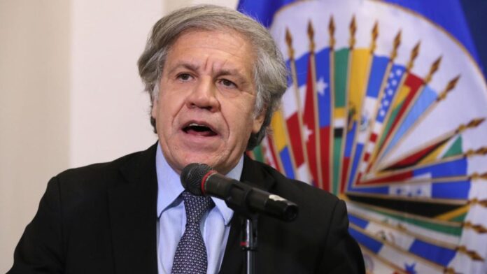 OEA califica de «exilio forzado» salida de Edmundo González de Venezuela