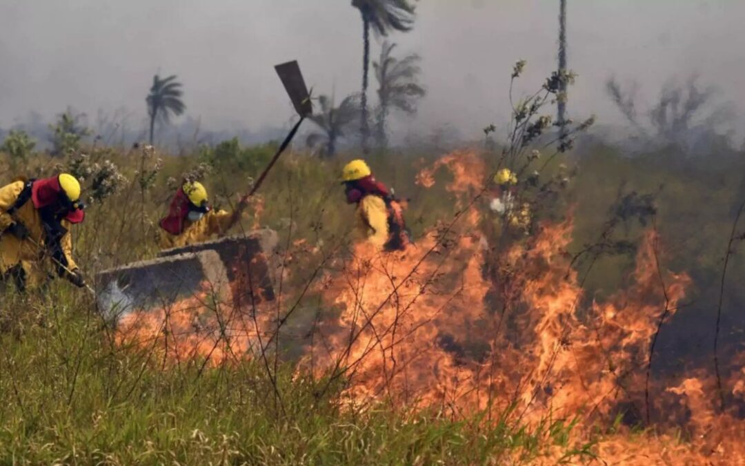 Bolivia declara emergencia nacional por los intensos incendios forestales