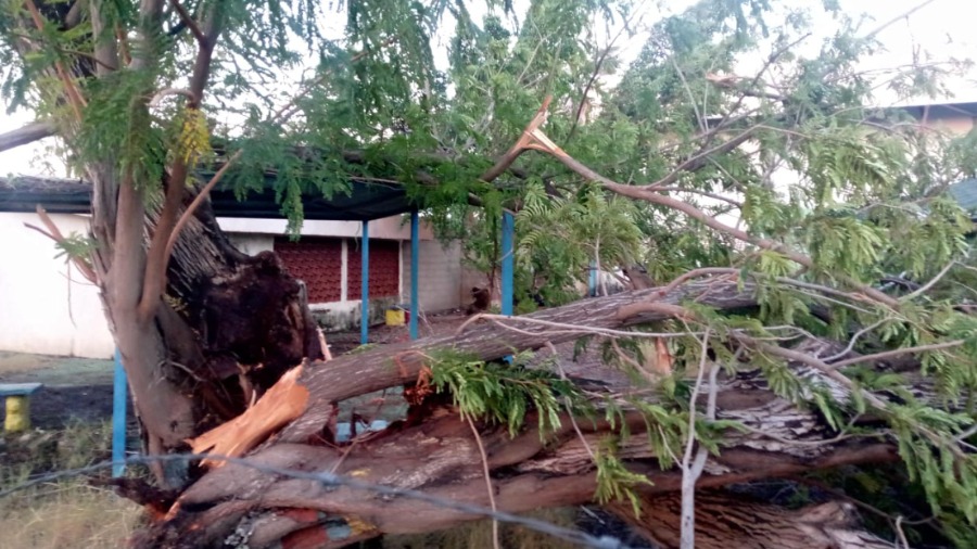 Ráfagas violentas de vientos arrasan en Lagunillas: Viviendas destruidas, árboles caídos y horas sin electricidad en el estado Zulia