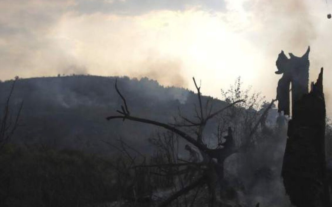 Nuevos incendios en León, España, obligan a evacuar a 300 personas en medio de una situación de mejora general