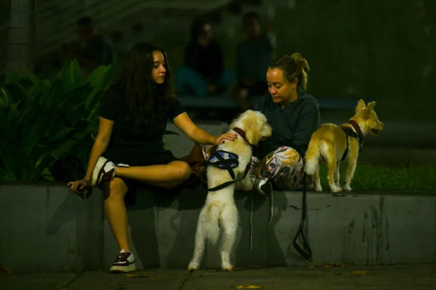 Fuerte sismo sacude a varias ciudades de Venezuela este miércoles