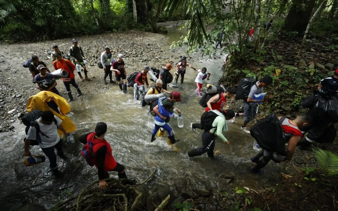 Unos 220 cadáveres han sido recuperados en el Darién: Entre ellos migrantes venezolanos