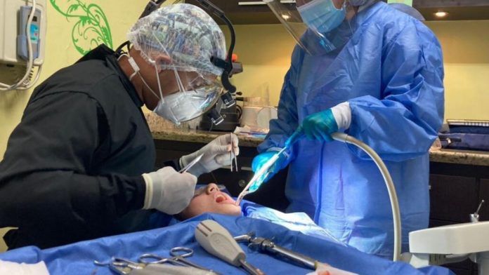 Colegio de Odontólogos activa web para verificar carnets y combatir falsos especialistas