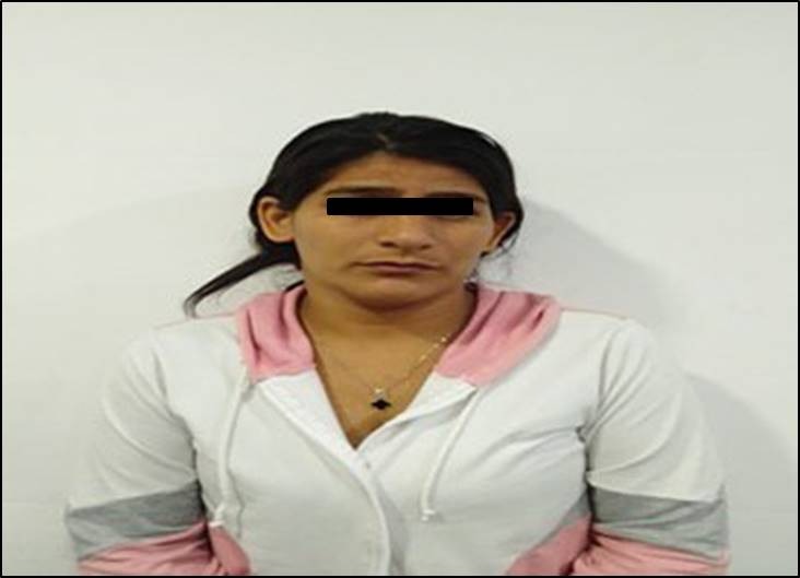 Cicpc apresa en Portuguesa a una mujer por difundir material pornográfico