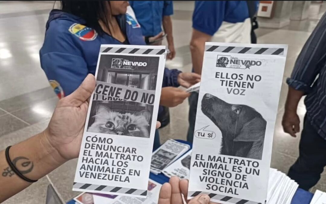 Metro de Caracas inicia campaña de concientización sobre maltrato animal