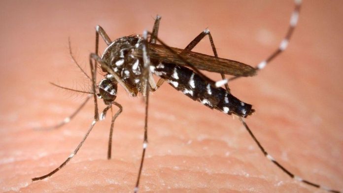 OPS reporta aumento de H1N1, dengue y otros virus en Venezuela