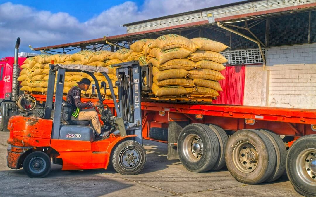 Venezuela envía 75 toneladas de café verde a Italia.