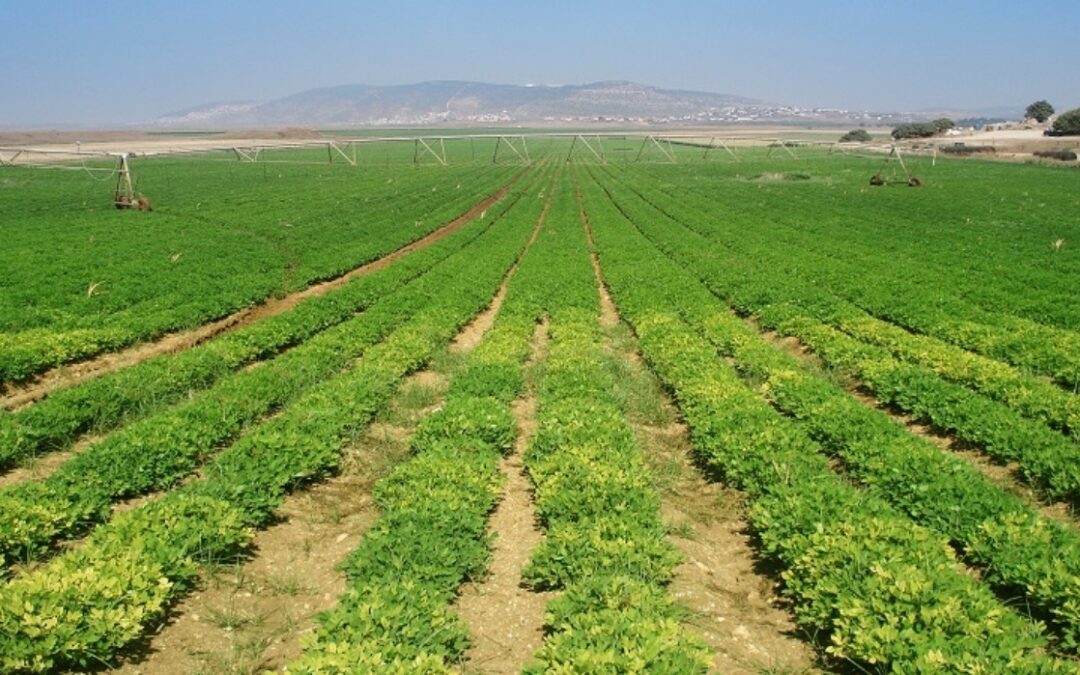 Venezuela activará 30 millones de hectáreas agrícolas con inversión principalmente asiática