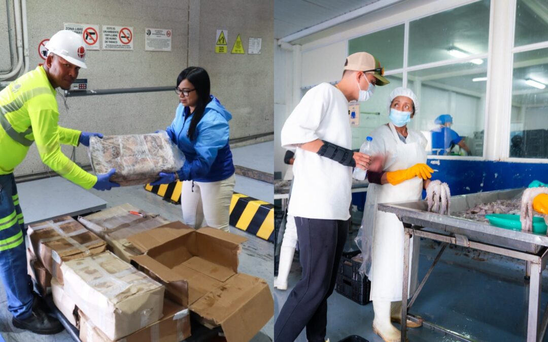 En 25% aumenta exportación de productos del mar a Europa durante el mes de enero desde La Guaira