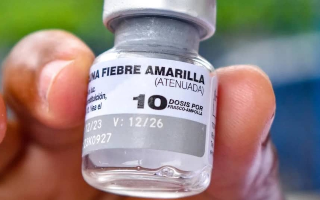 Al menos 70 mil personas de Barinas han sido vacunadas contra la fiebre amarilla en 2026