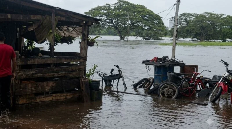 Inundaciones anegan fincas y afectan la producción agropecuaria en sectores Anaro y Maporal de Barinas