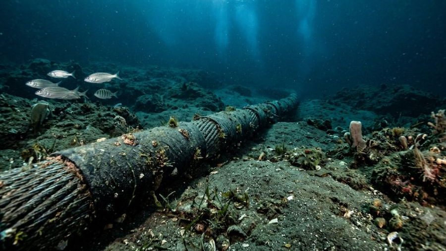 CANTV lanza «Fénix», un cable submarino que conectará con Curazao y reducirá la latencia de internet en Venezuela