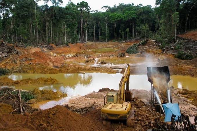 SOS Orinoco alerta sobre el avance de la minería ilegal y el deterioro de Canaima